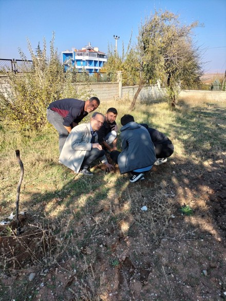 11 Kasım Milli Ağaçlandırma Günü